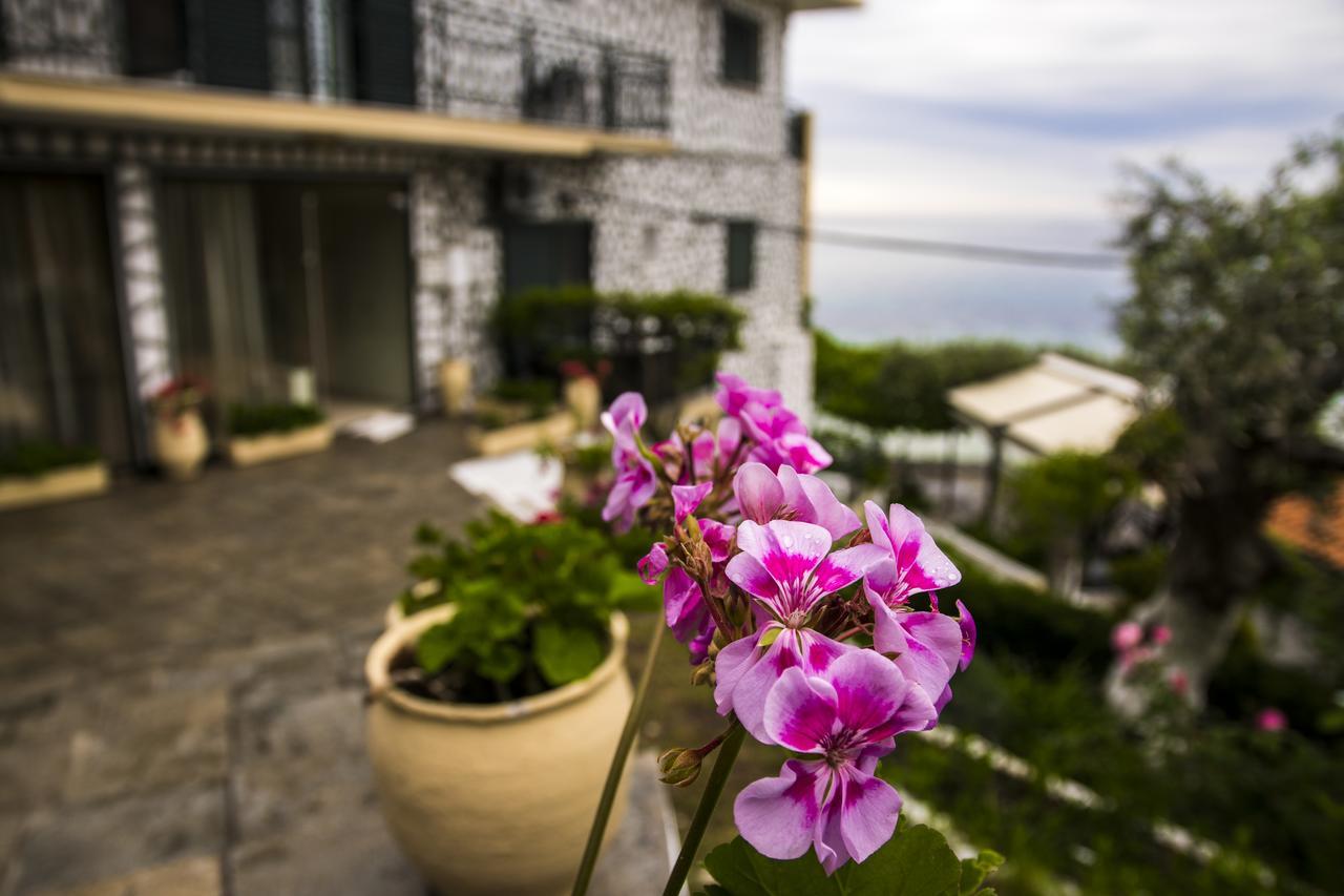 Hotel Villa Nisteri Limenas  Zewnętrze zdjęcie